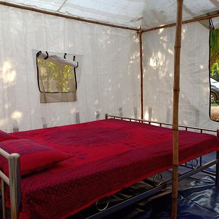Nature Trail Camps & Homestay Джодпур Екстериор снимка