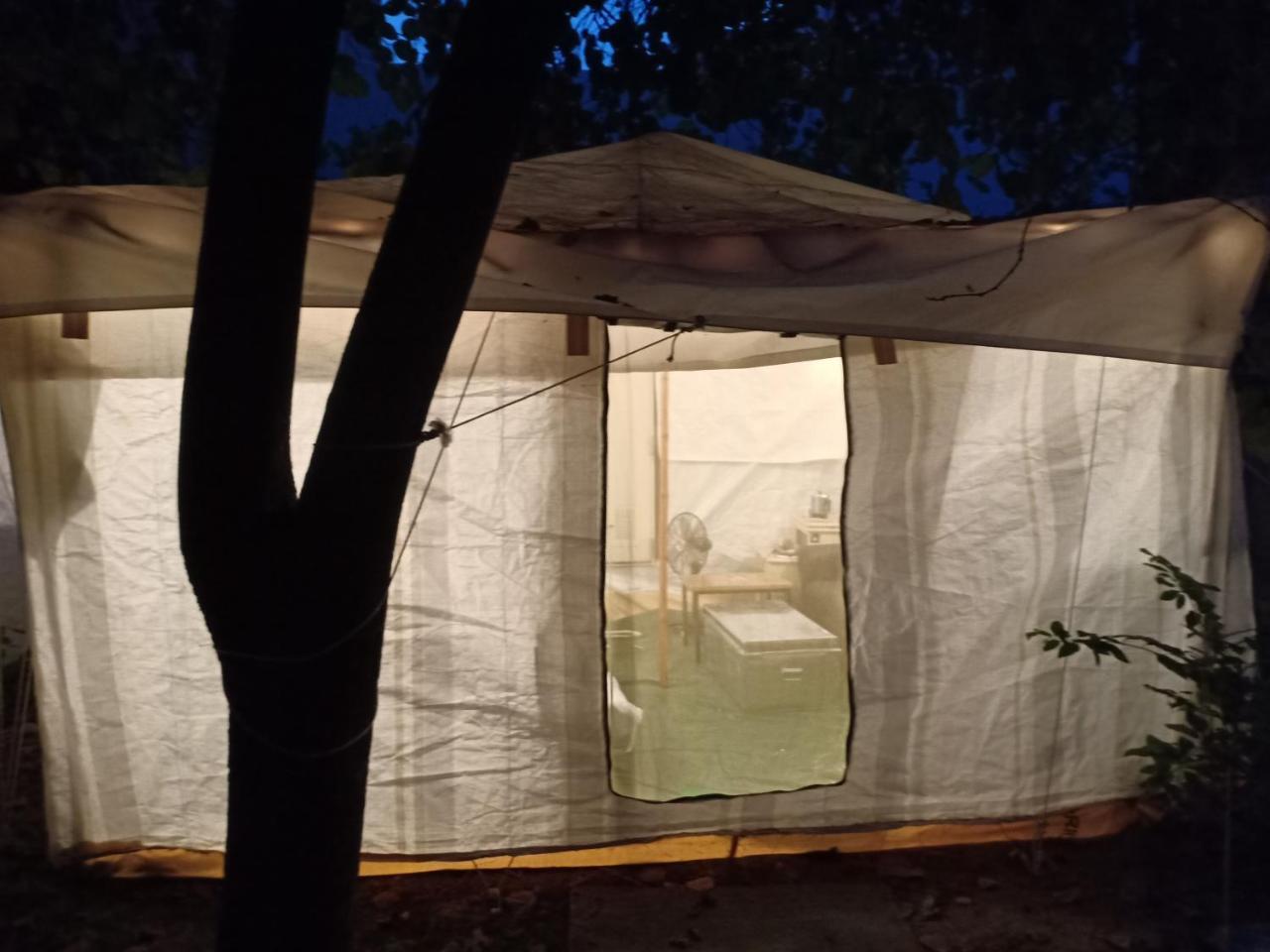 Nature Trail Camps & Homestay Джодпур Екстериор снимка