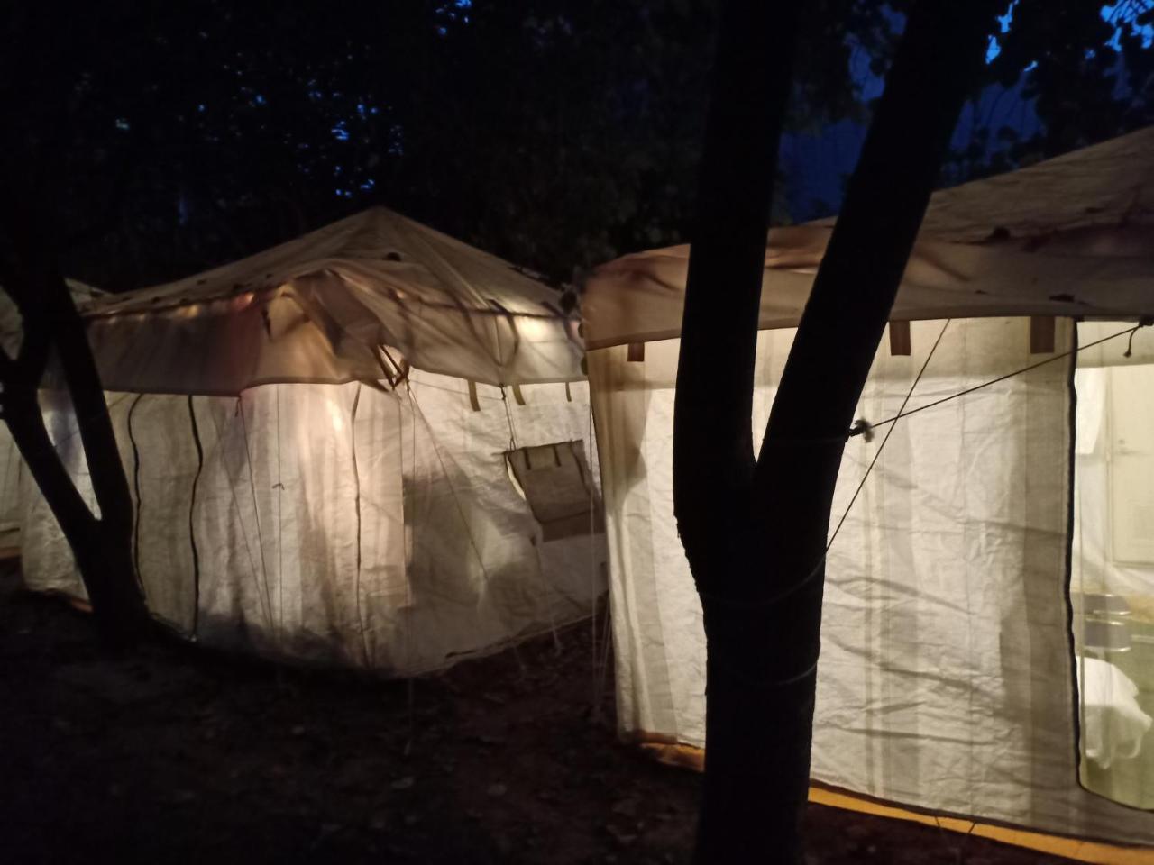 Nature Trail Camps & Homestay Джодпур Екстериор снимка